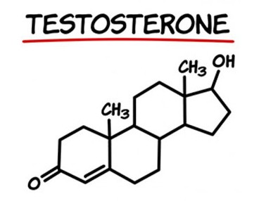 Testosterone Guide